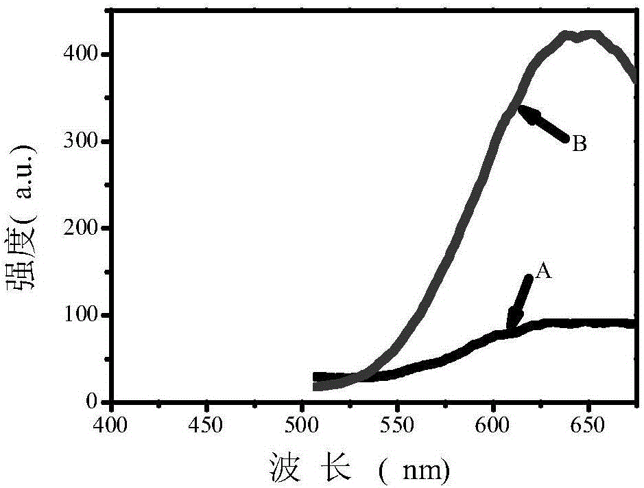 Catalase fluorescence detection method based on gold nanocluster probe