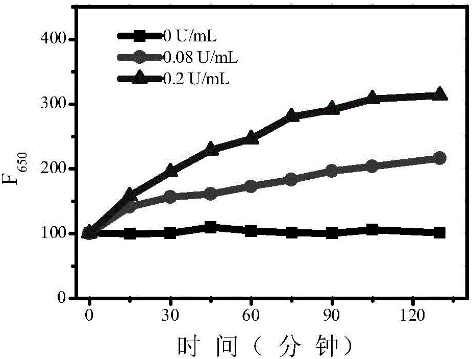 Catalase fluorescence detection method based on gold nanocluster probe