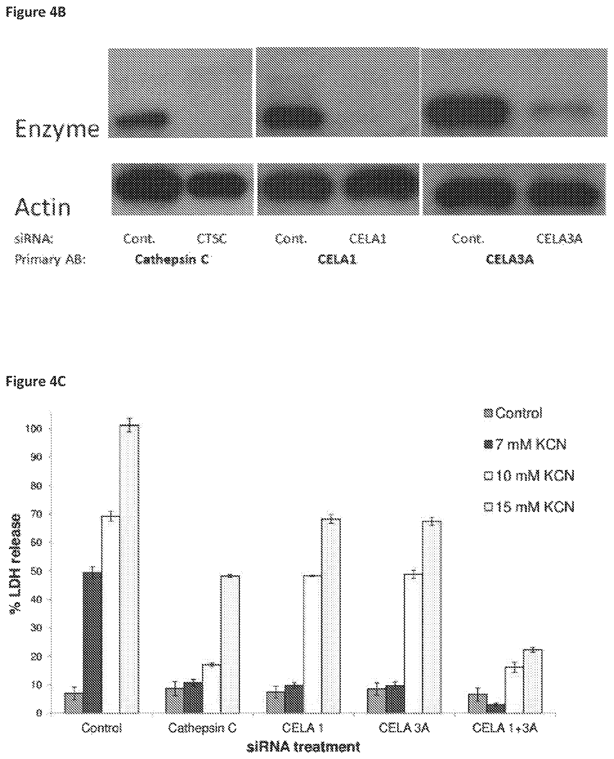 Substituted thiazoles for preventing and/or treating cell or tissue necrosis