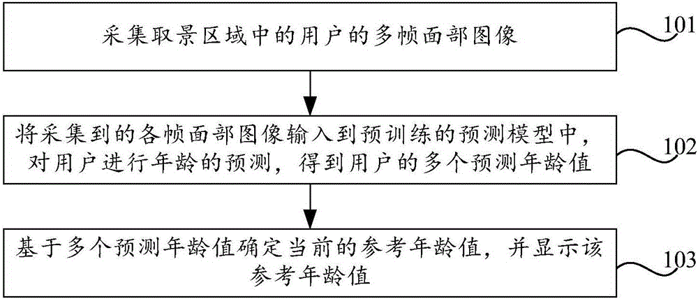 Age prediction method and apparatus and terminal