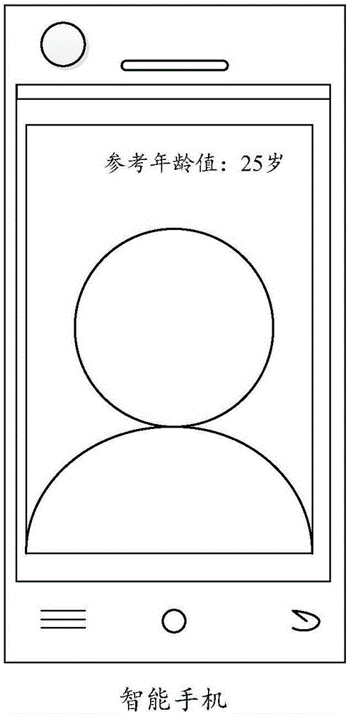 Age prediction method and apparatus and terminal