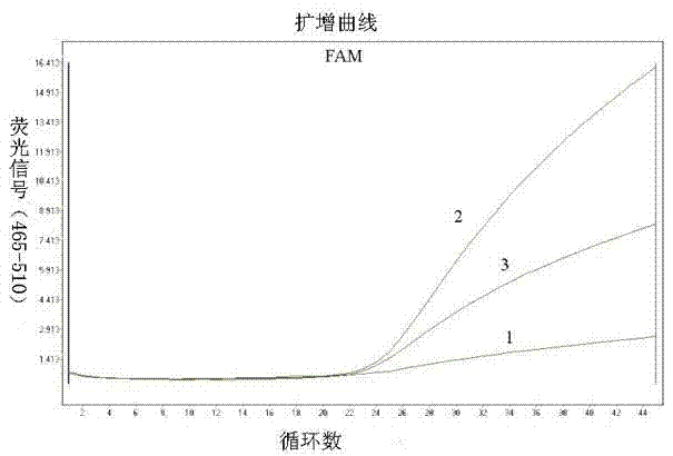 Kit and method for detecting gene polymorphism of human MTHFR (methylene tetrahydrofolate reductase) based on Taqman-MGB (Minor Groove Binder) probe