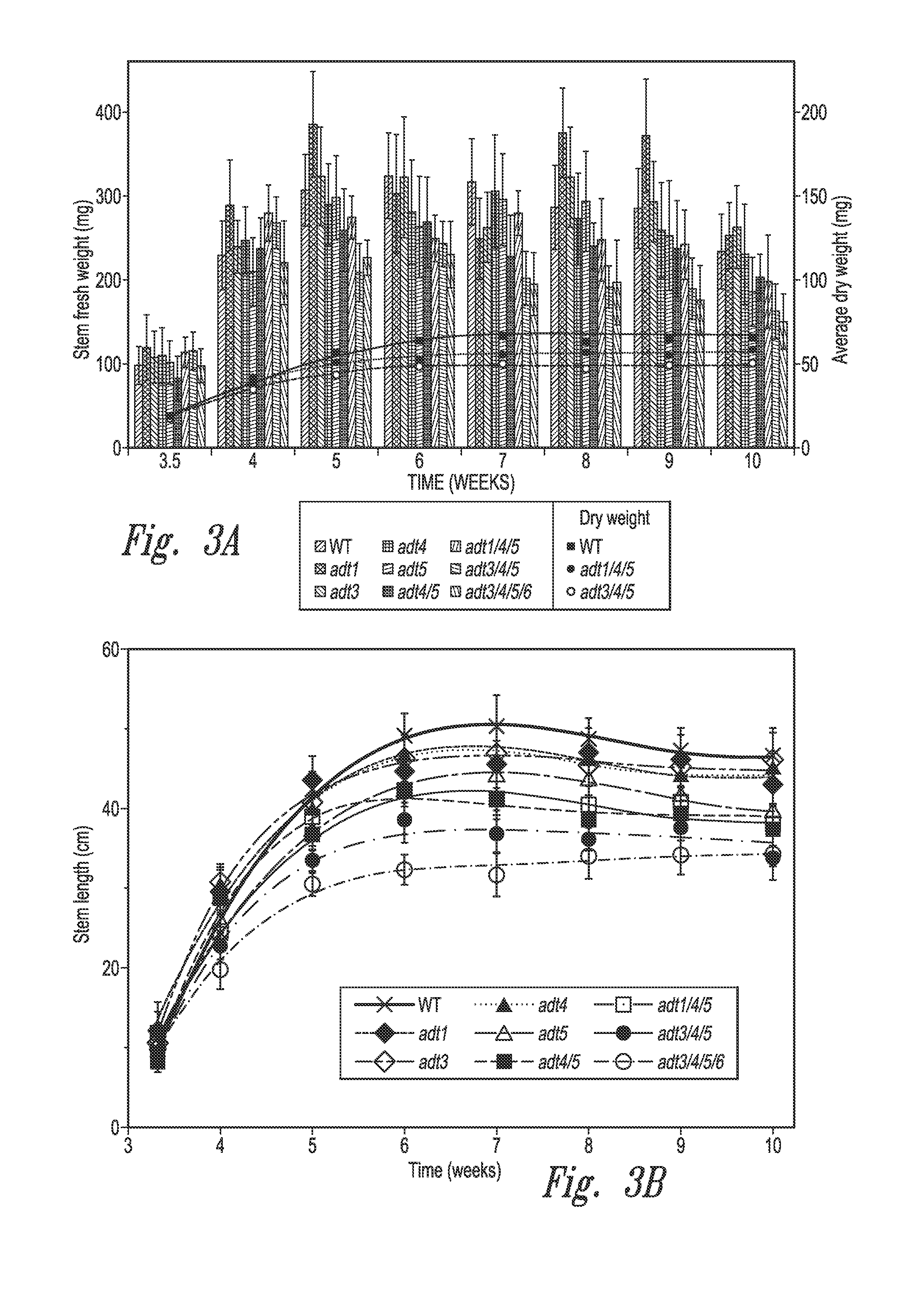 Arogenate dehydratases and lignification