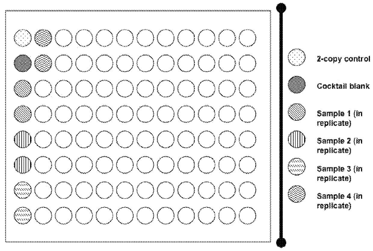 Copy number analysis of genetic locus