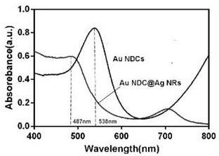 Au NDC@Ag NRs probe and preparation method and application thereof