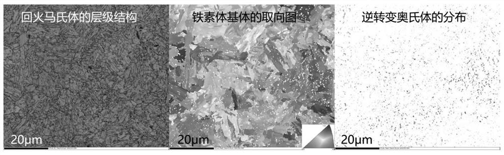 A ferritic low-temperature steel forging and its low-temperature cryogenic preparation method