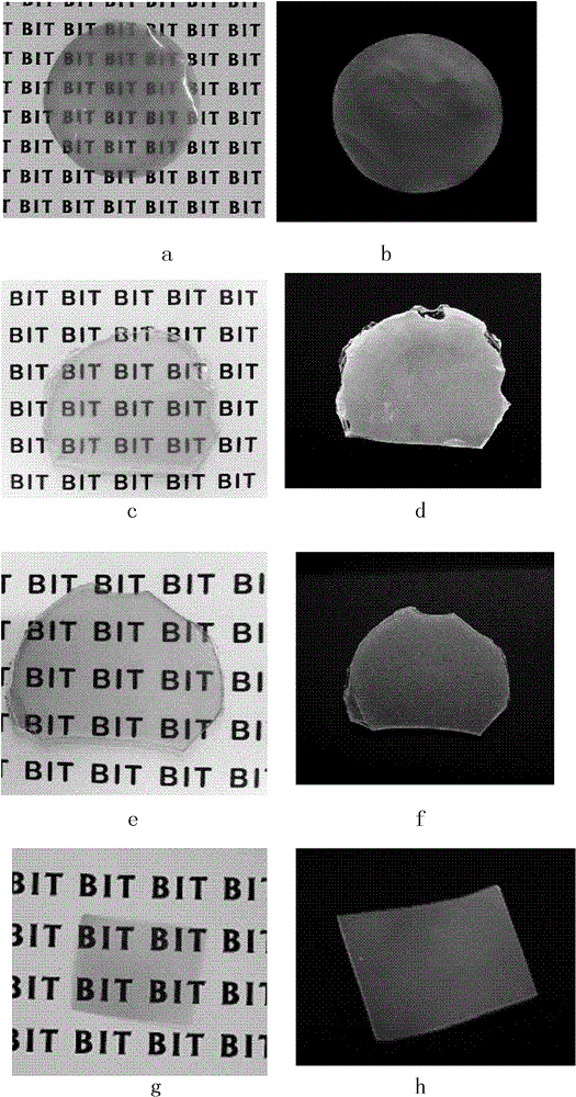 Flexible, environmentally-friendly, transparent and adjustable-illuminant-color film material and preparation method thereof