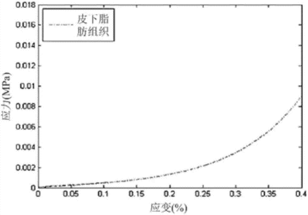 Biomechanical modeling method of subcutaneous adipose tissue based on linear elastic and hyperelastic models