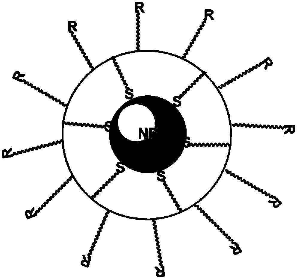 A kind of nanoparticle and polymercapto copolymer complex and preparation method thereof