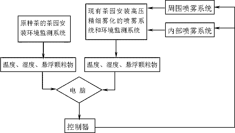 A kind of method of organic Biyun tea cultivation