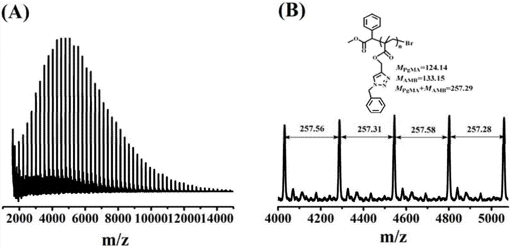 Open click-free radical one-pot method taking copper thioxanthone carboxylate as photocatalyst and deoxidant