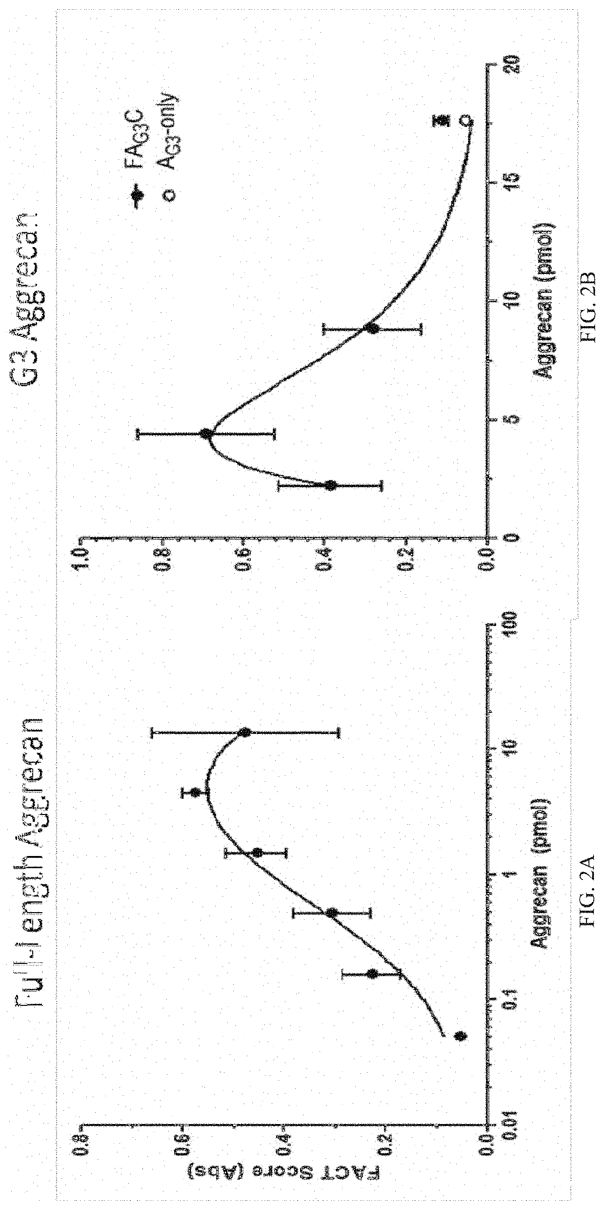 Therapeutic variant alpha-2-macroglobulin compositions