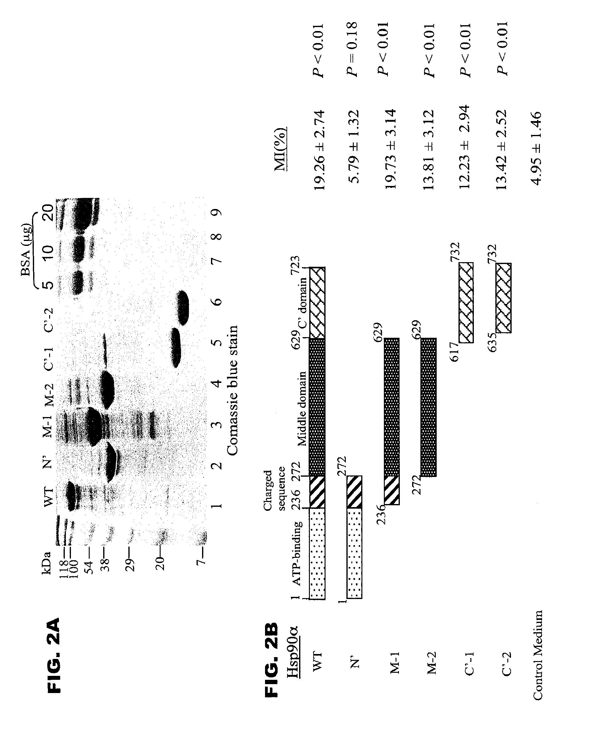 Skin wound healing compositions and methods of use thereof