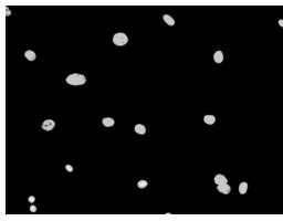 Simple extraction method of high-purity mouse skeletal muscle satellite cells