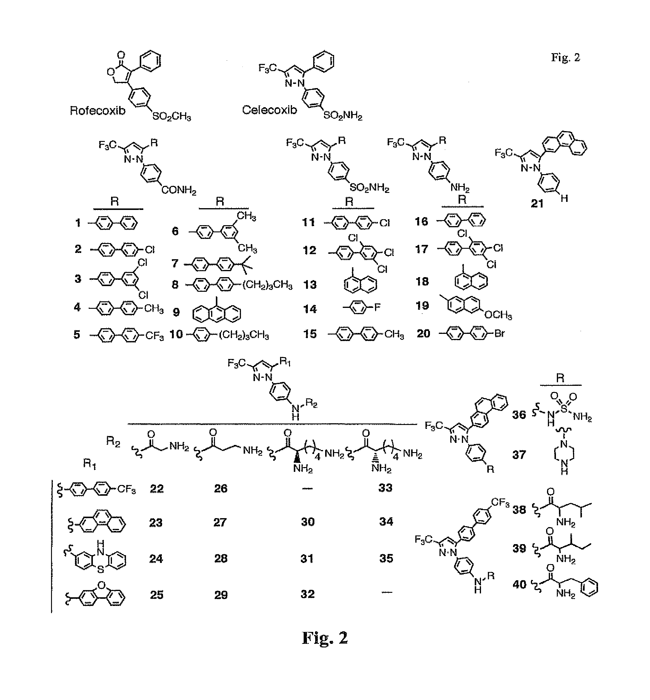 Anti-staphylococcal celecoxib derivatives