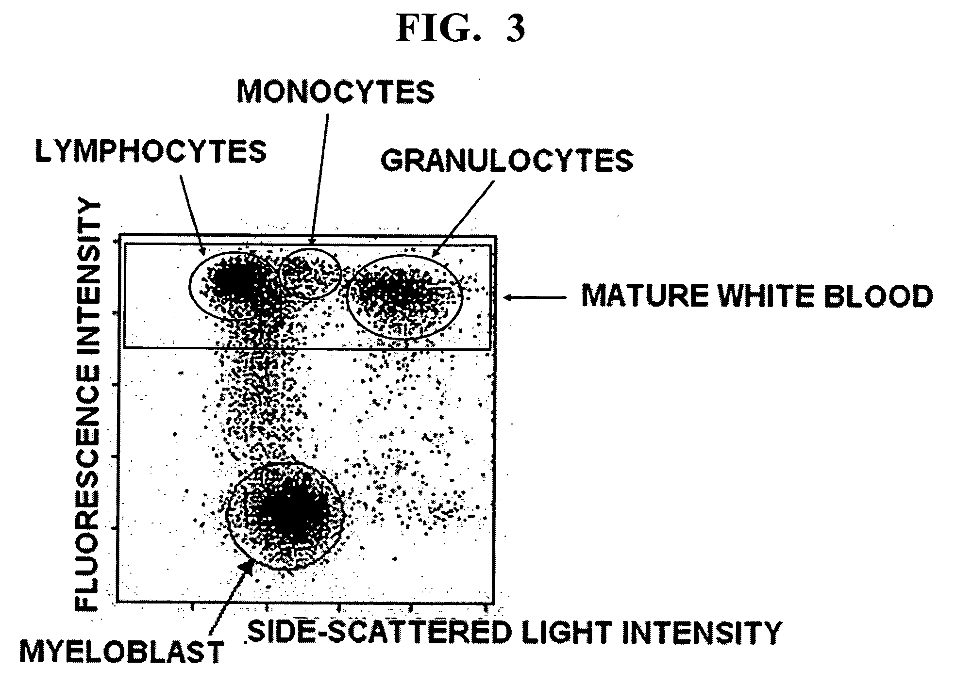 Reagent for immature leukocyte analysis and reagent kit