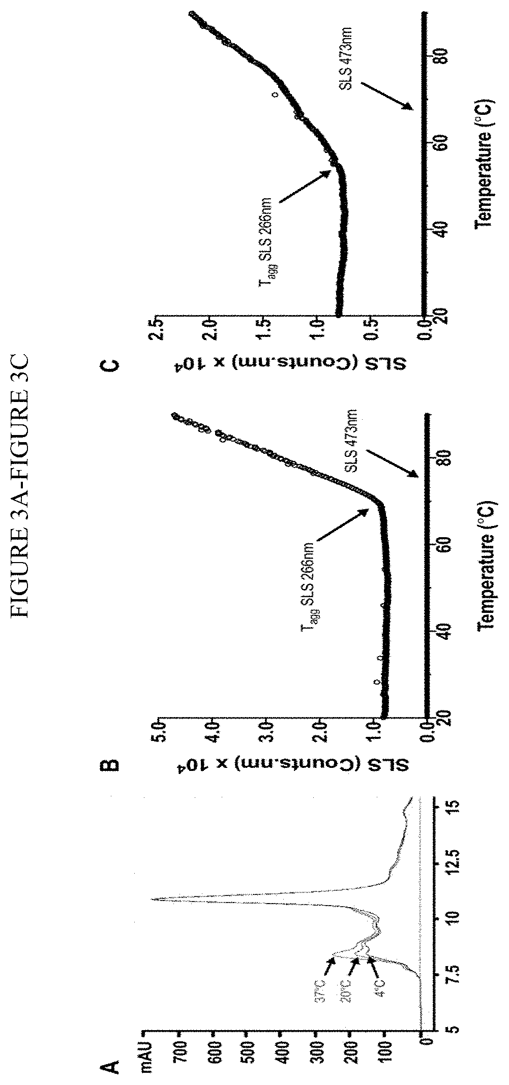 Processes for making and using a mesenchymal stem cell derived secretome