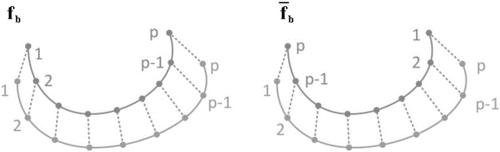 Method for achieving white matter rapid segmentation and fiber cluster data analysis