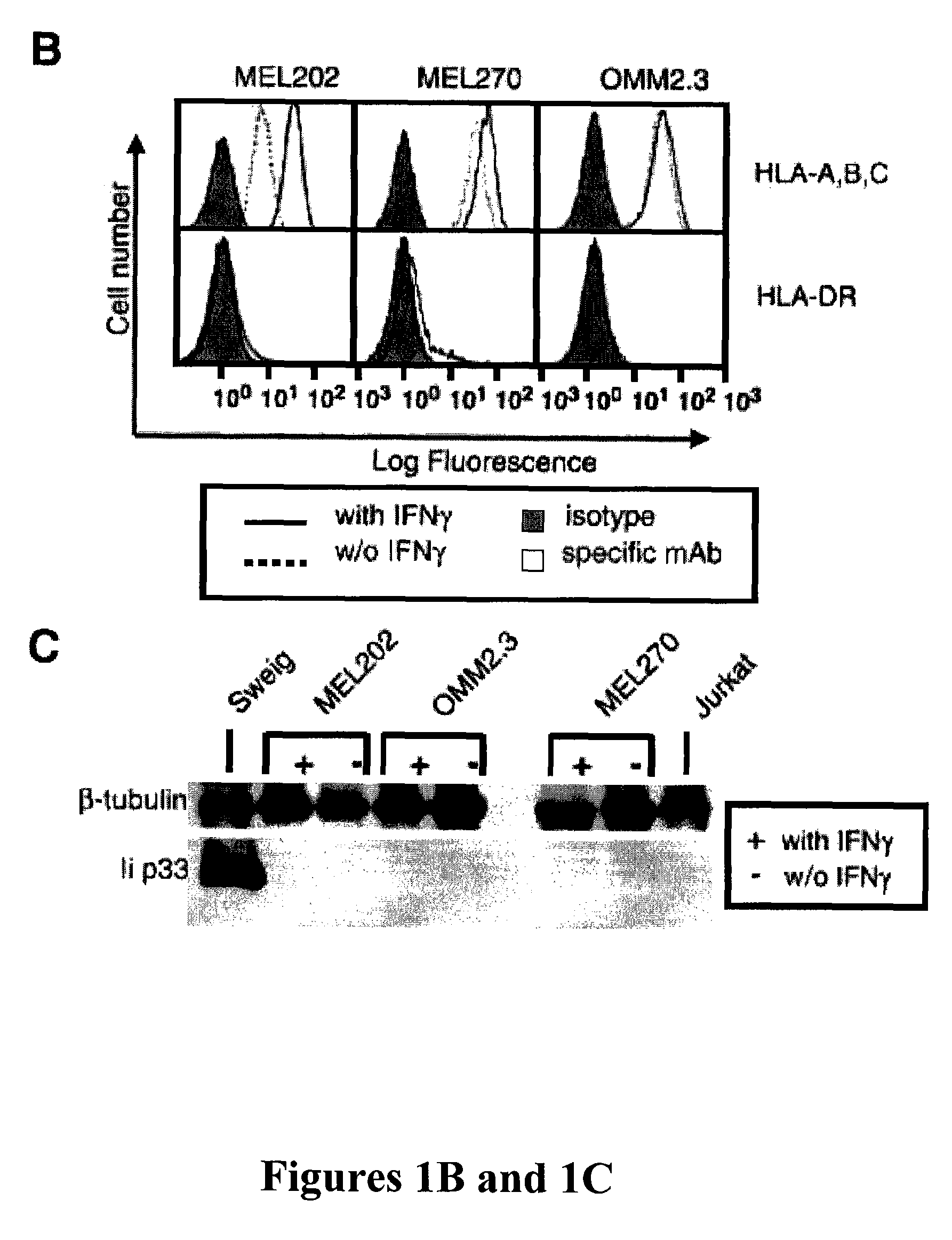 Tumor cells from immune privileged sites as base cells for cell-based cancer vaccines