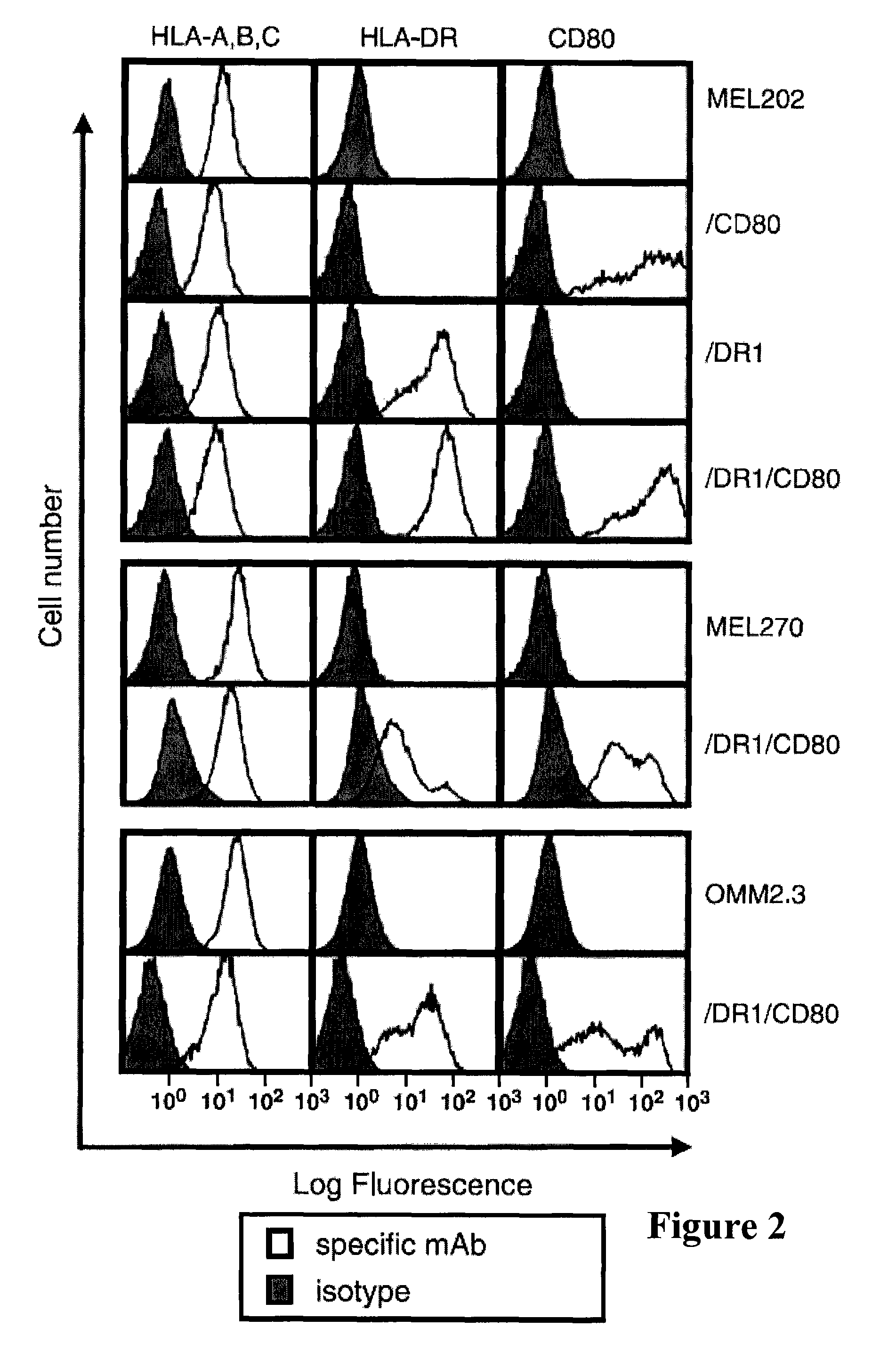 Tumor cells from immune privileged sites as base cells for cell-based cancer vaccines