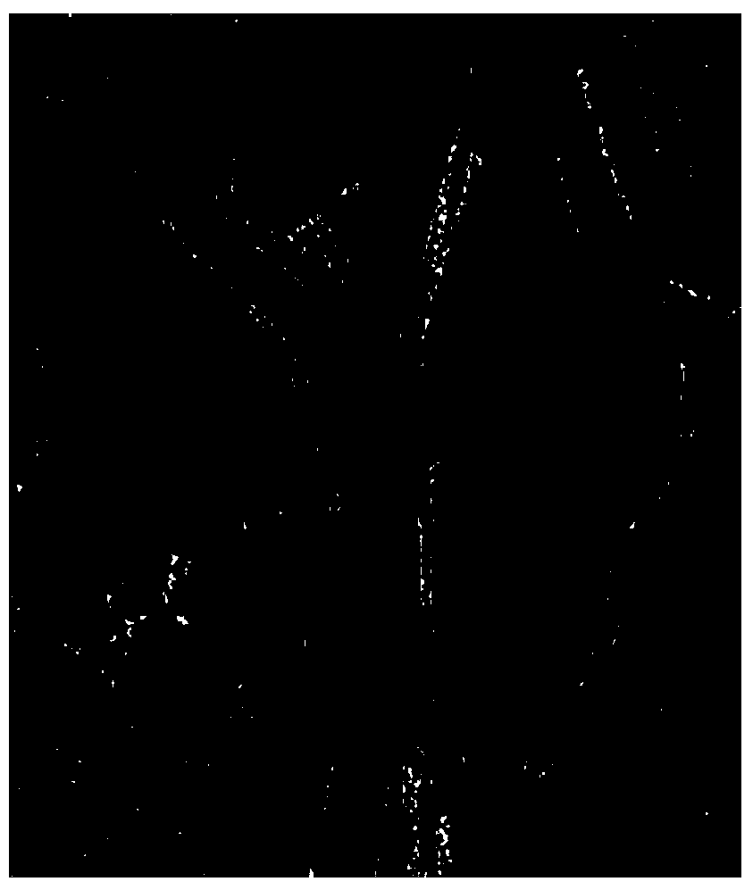 SAR image change detection method based on directional wavelet transformation and improved level set