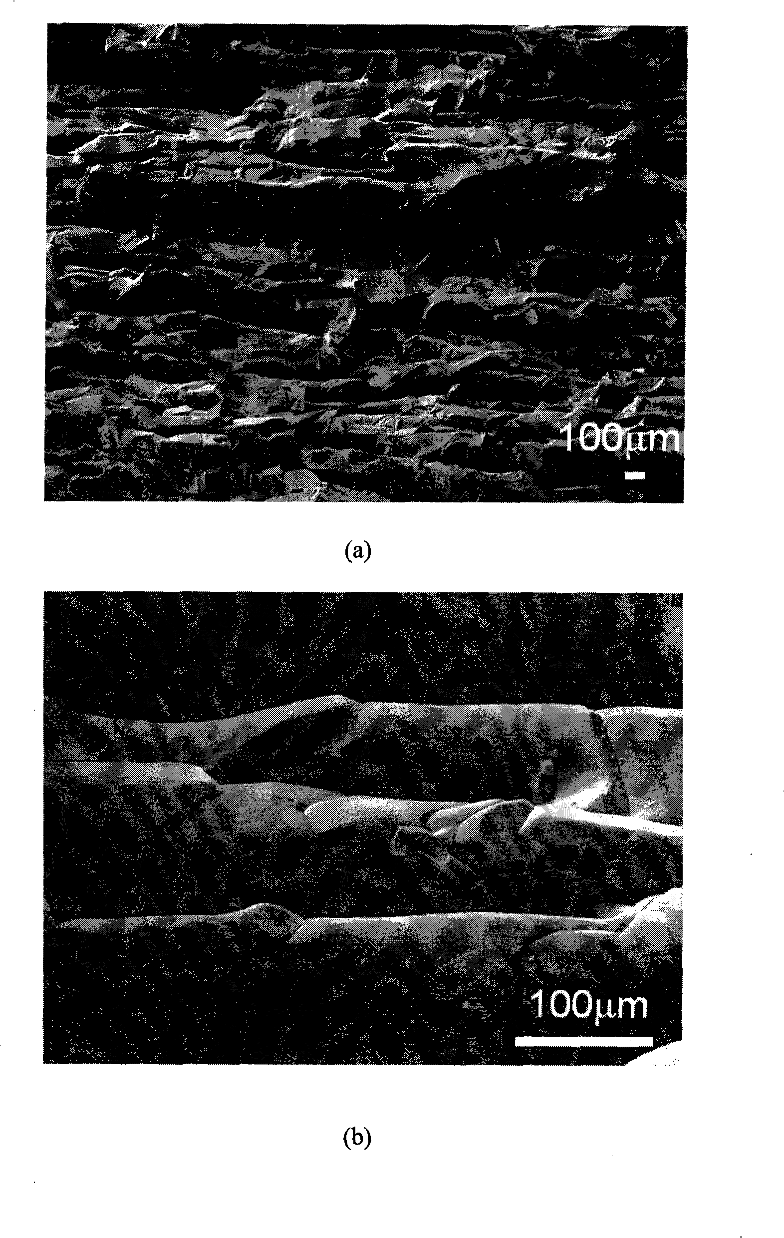 Preparation of oriented hole silicon carbide porous ceramic