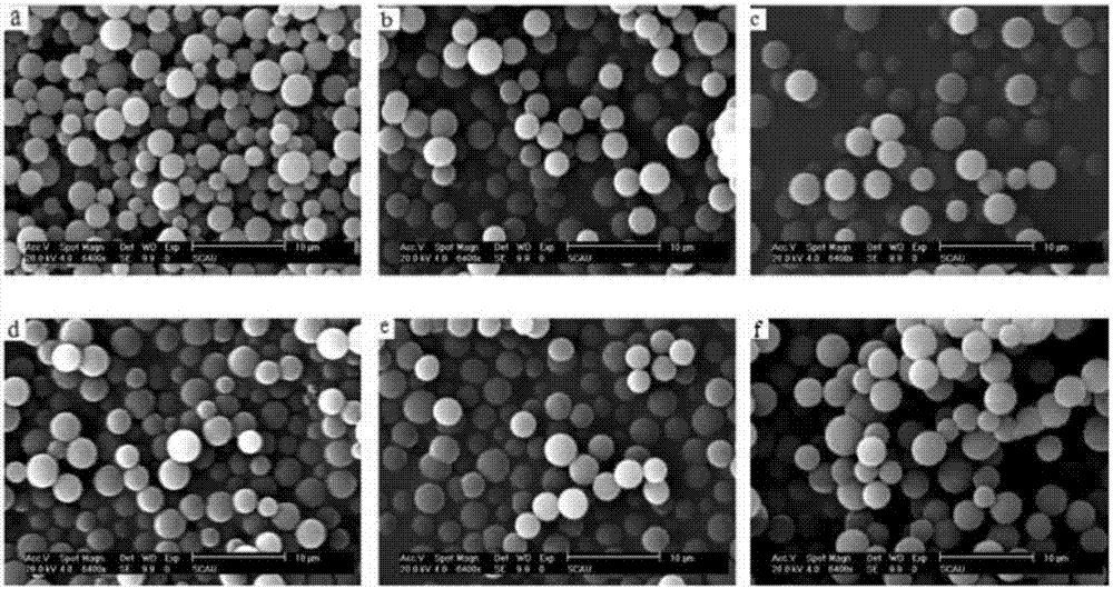 Extraction and purification method for matrine and oxymatrine in Sophora flavescens