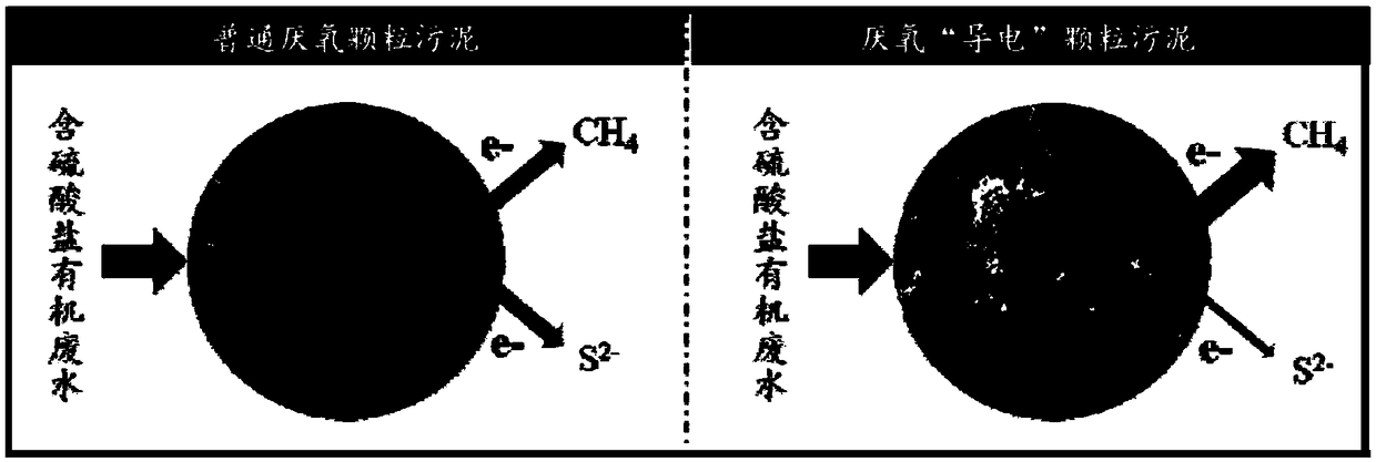 Method for improving methane production efficiency of sulfate organic wastewater