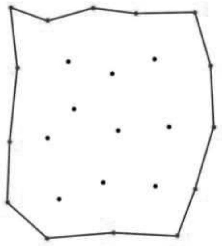 A method for obtaining forest canopy parameters of plantation forests using two-dimensional images