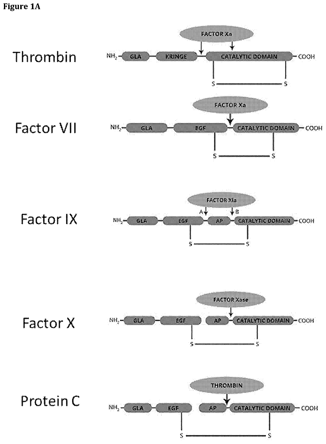 Delivery of payloads to stem cells