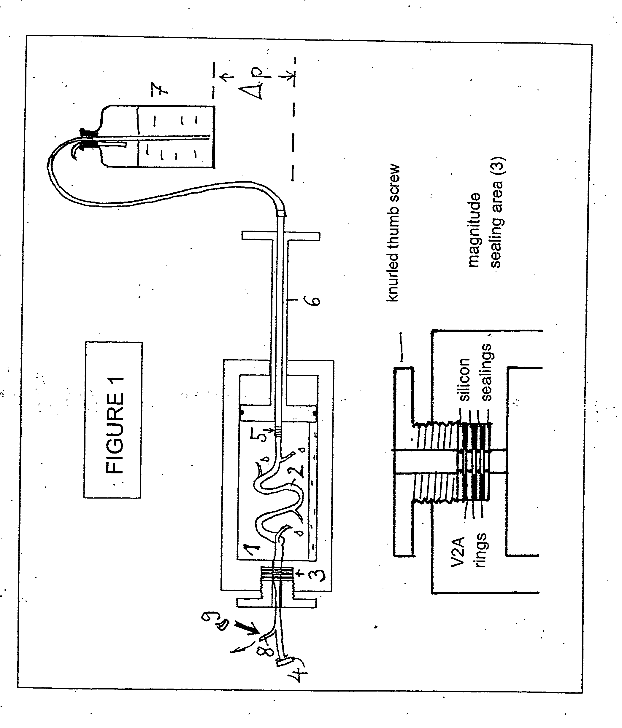 Methods And Apparatus For Preserving The Endothelium In Isolated Hollow Organs And Biological Vessels