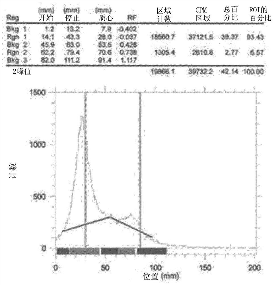 Neovascular-targeting contrast medium composition and method for preparing same