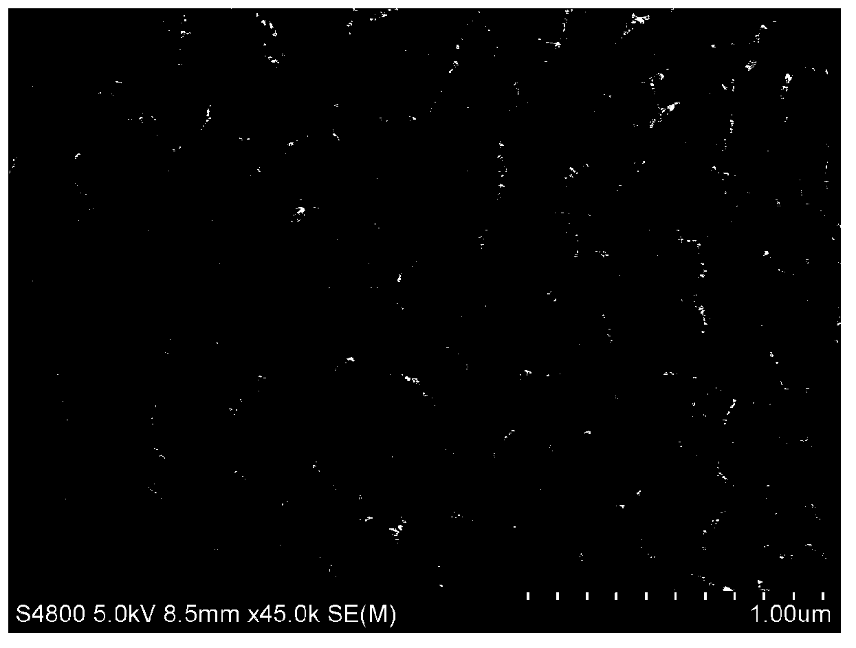 Preparation method of novel enteromorpha-based carbon material