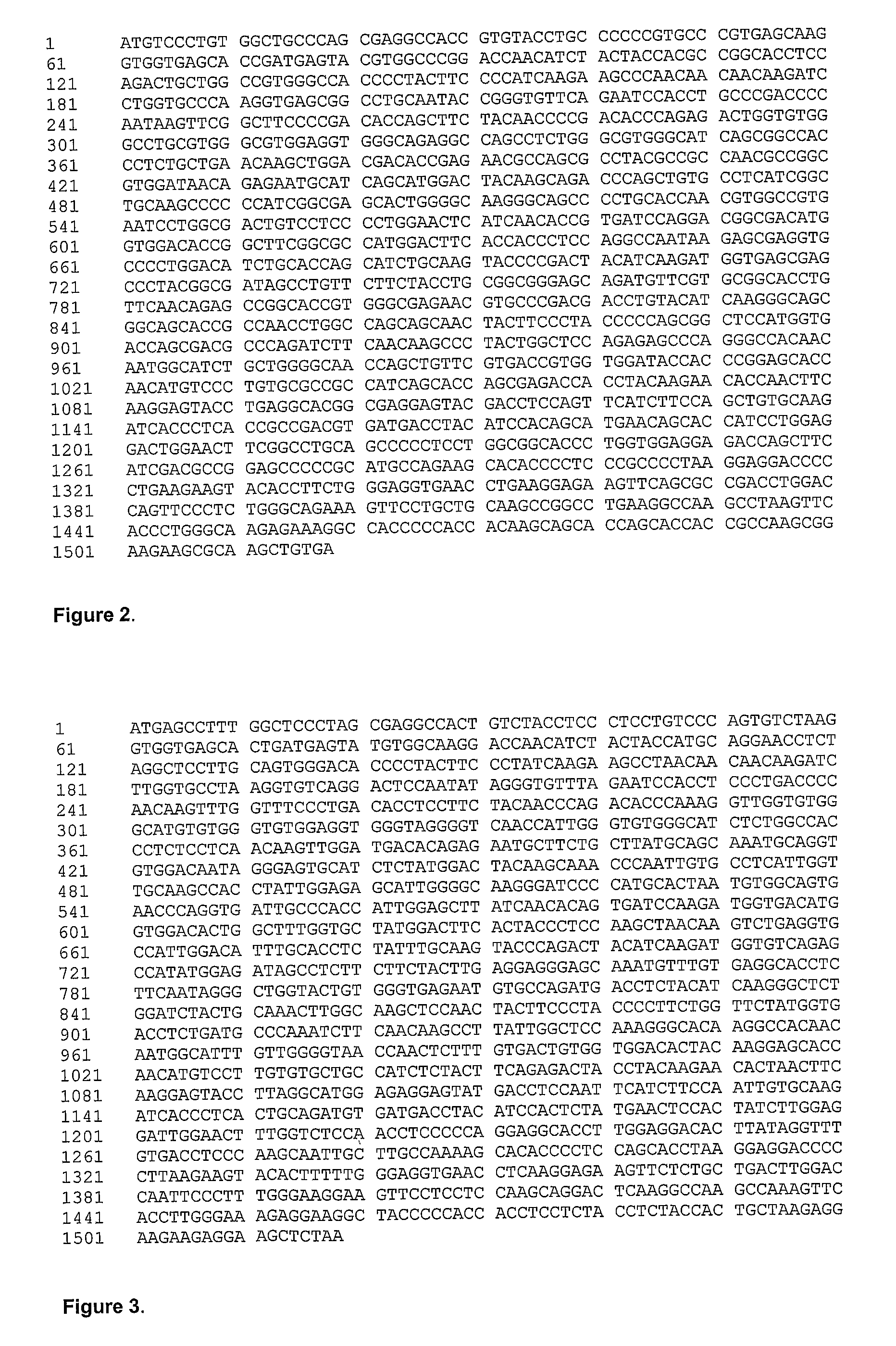 Expression of Proteins in Plants