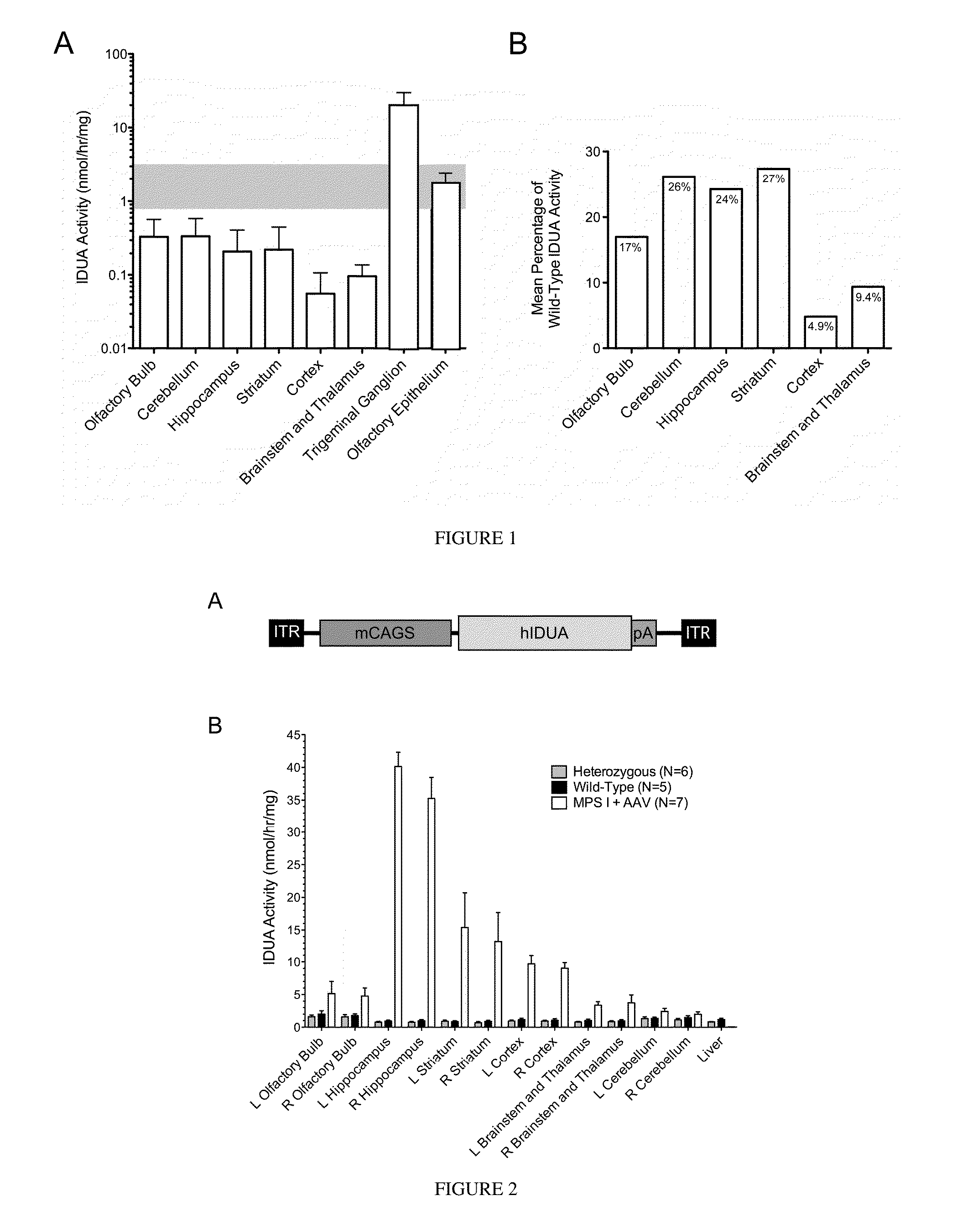 Intranasal delivery of therapeutic enzymes to the central nervous system for the treatment of lysosomal storage diseases