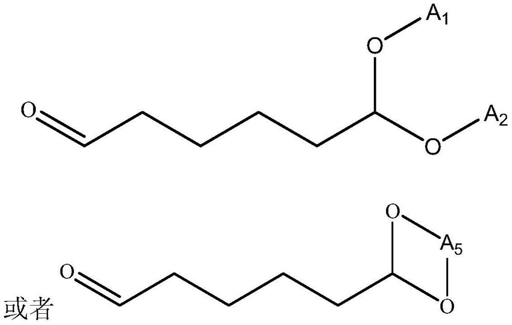 Selective ammoniation hydrogenation catalyst, preparation method thereof and synthesis method of hexamethyleneimine