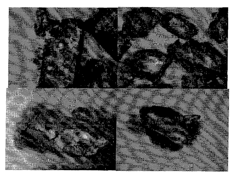 Method for producing crystal maltose alcohol