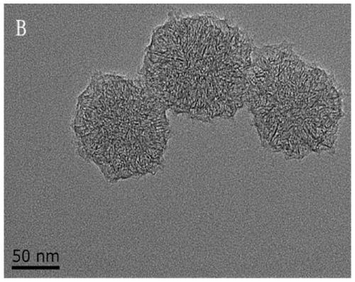 Modified oxidized single-walled carbon nanohorn, its preparation method and application, and method for adsorbing antibiotics