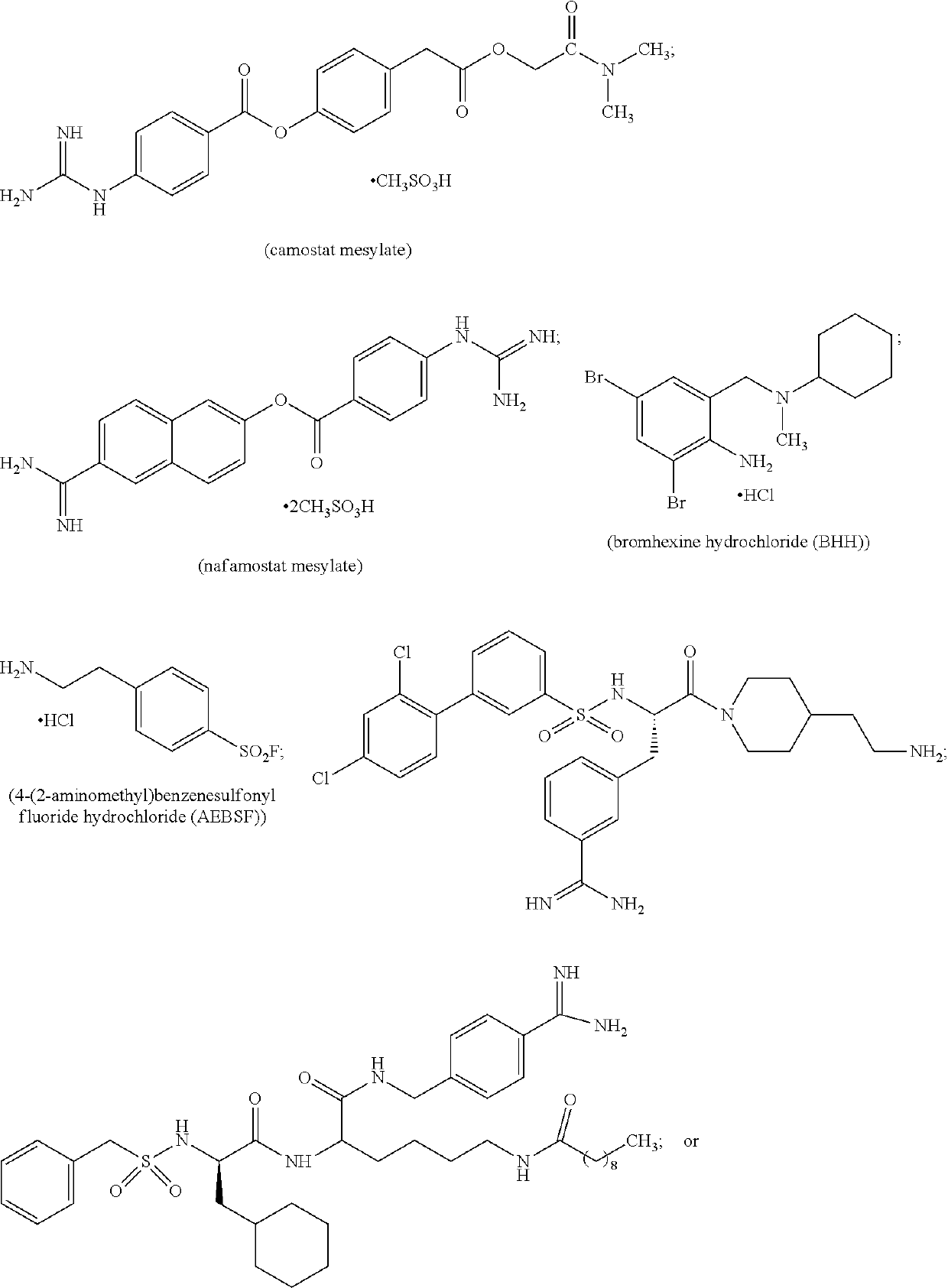 Anti-tmprss2 antibodies and antigen-binding fragments