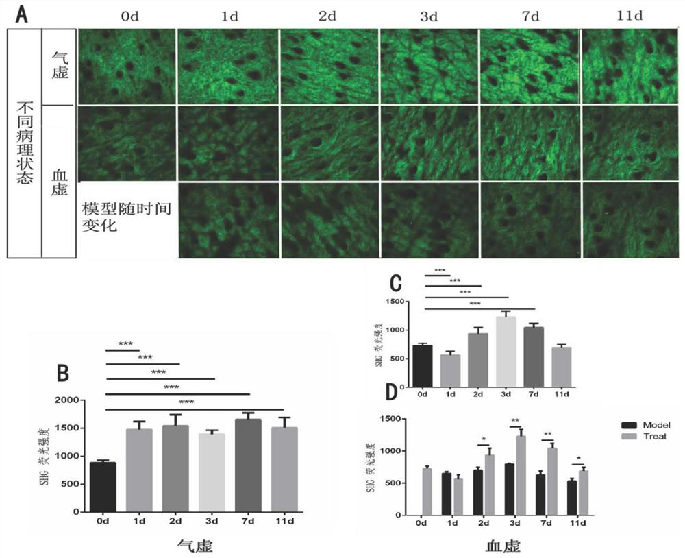 Application of colla corii asini in preparation of health-care product for promoting improvement of skin collagen