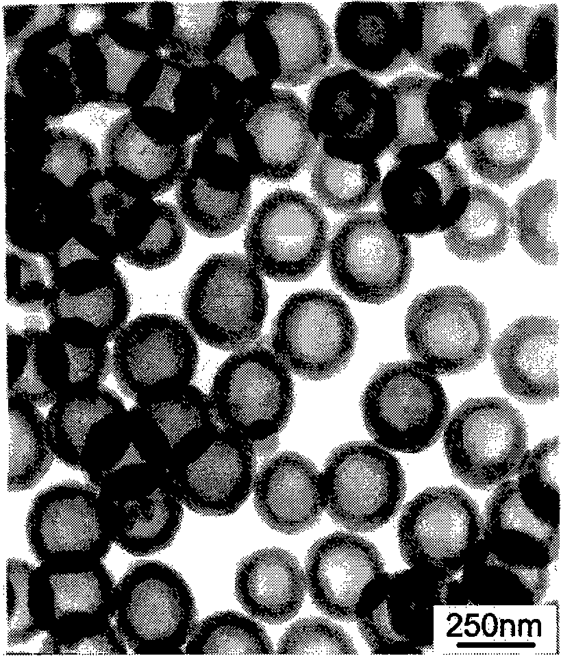 Functional hollow earth silicon microballoons and method for preparing same