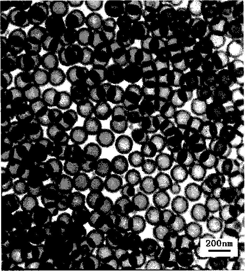 Functional hollow earth silicon microballoons and method for preparing same