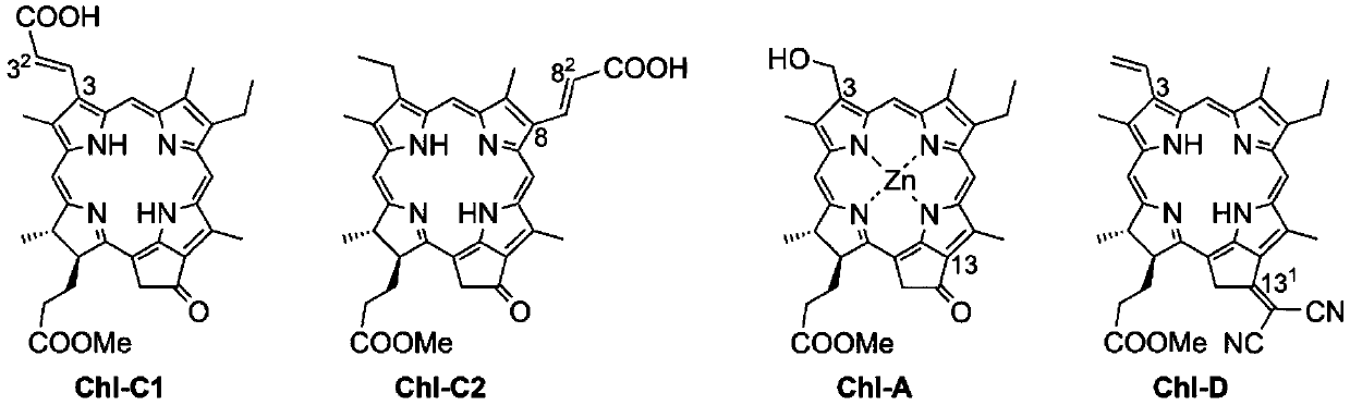 Biologic solar cell having three-layer chlorophyll structure and preparation method thereof