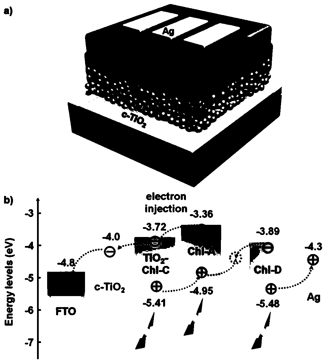 Biologic solar cell having three-layer chlorophyll structure and preparation method thereof