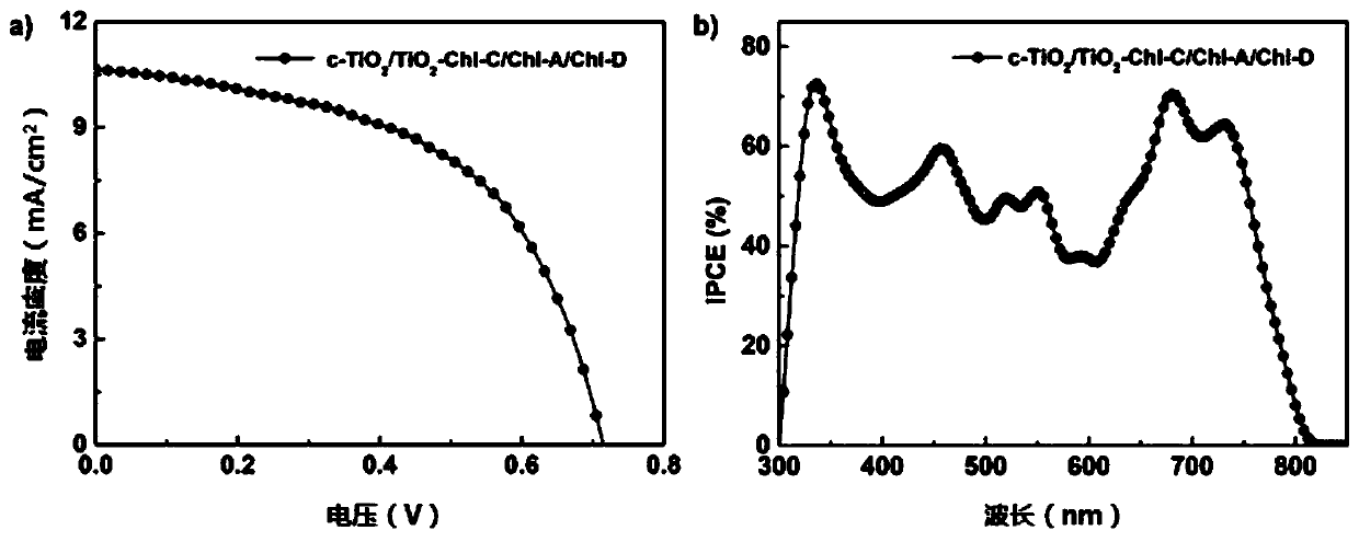 Biologic solar cell having three-layer chlorophyll structure and preparation method thereof