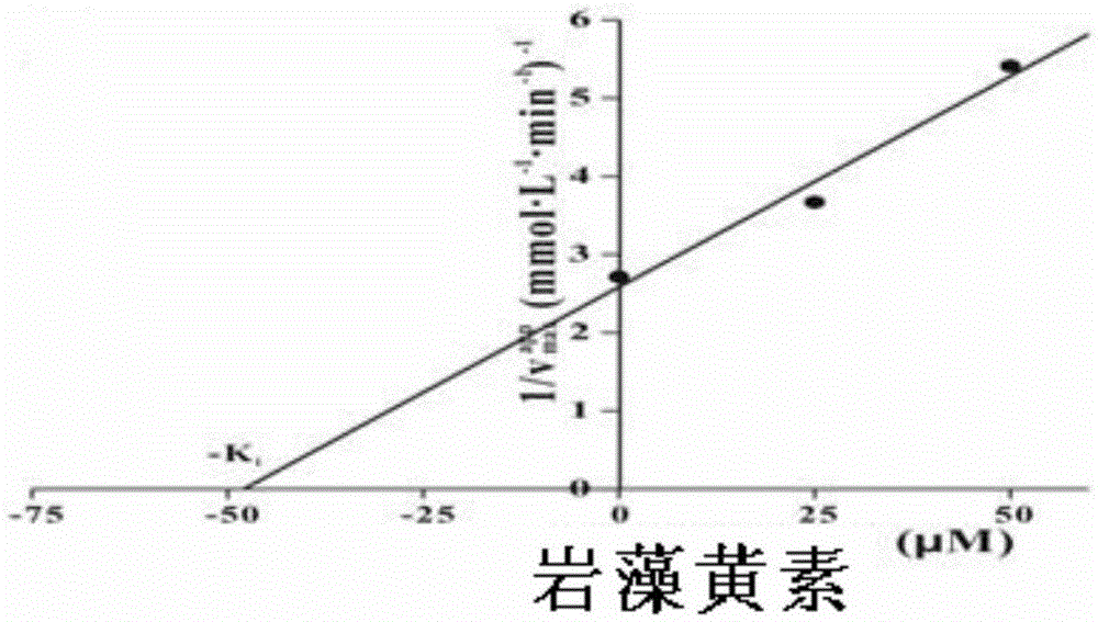 New application of fucoxanthin to preparation of medicine for treating alzheimer disease