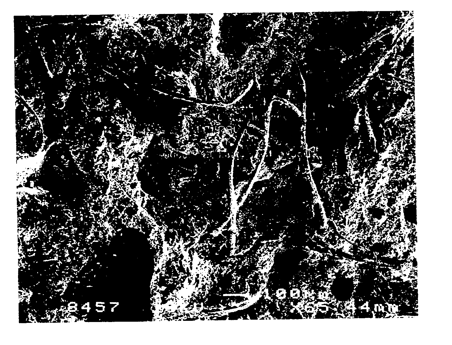 Fiber reinforced mineral-based materials and methods of making the same