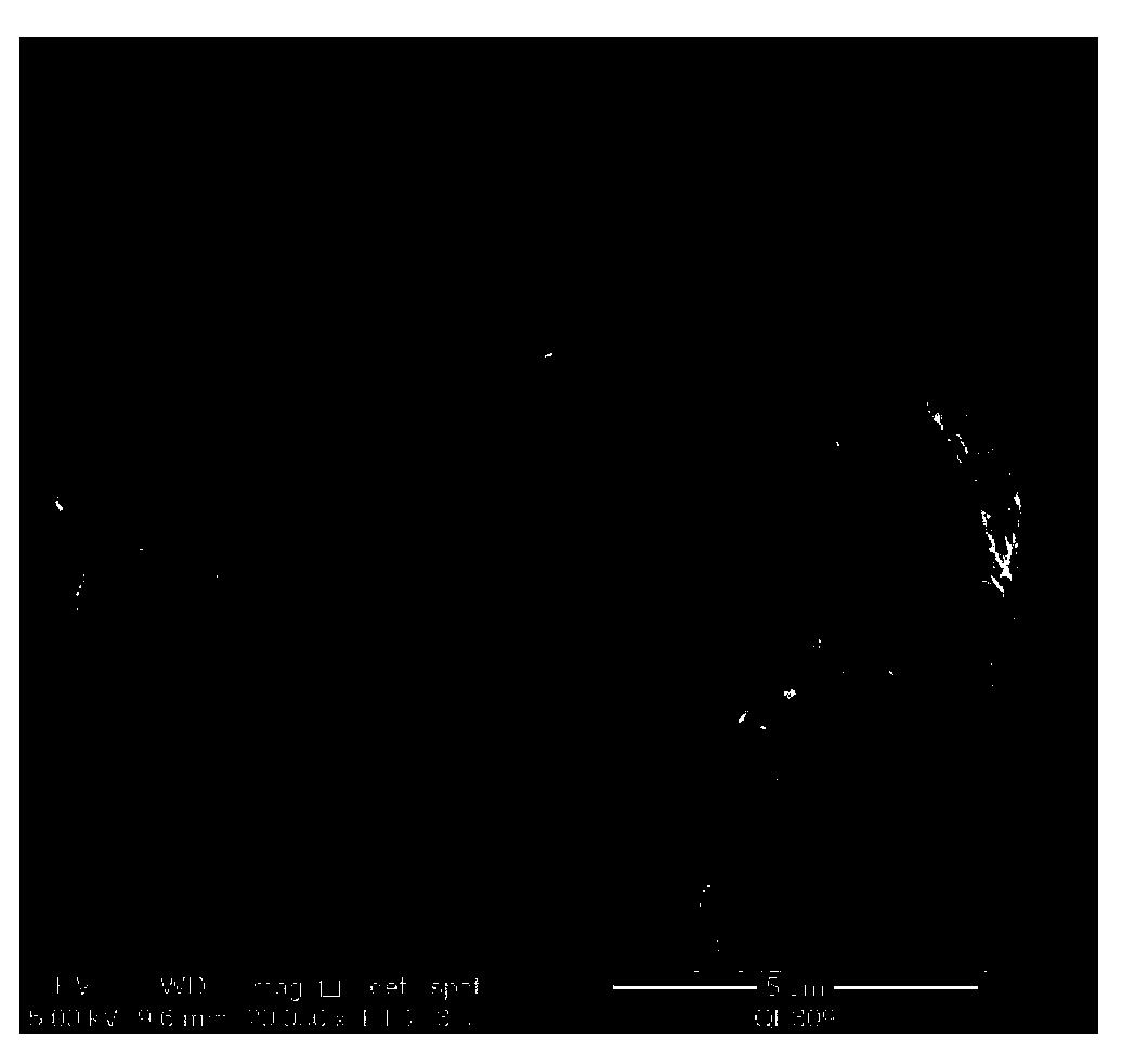 Determination method of carbon fiber pre-oxidized fiber skin-core structure