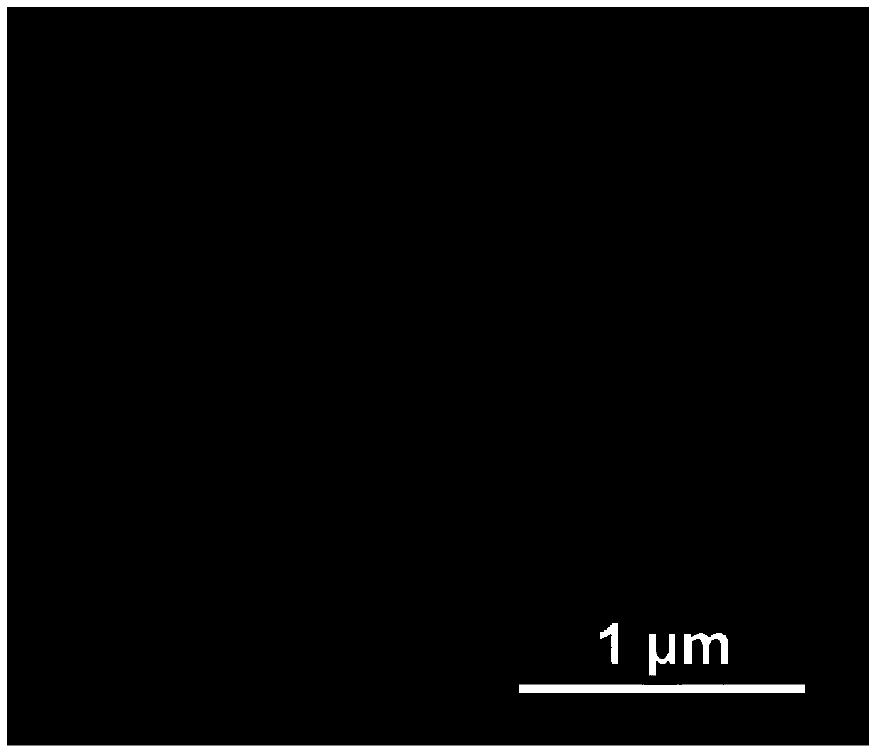 Preparation method of composite lithium-sulfur battery electrode material with three-dimensional conduction core-shell structure