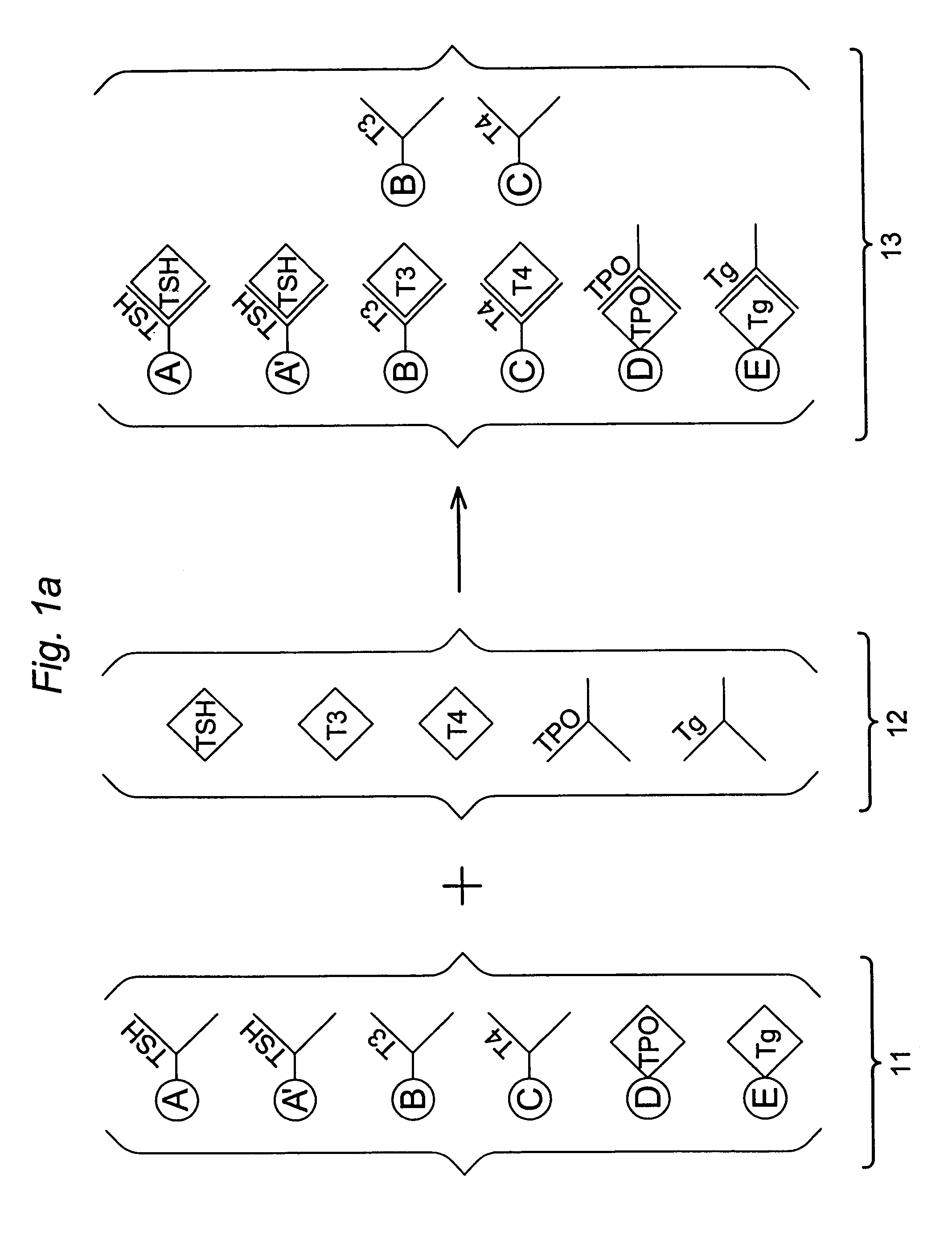 Multi-analyte diagnostic test for thyroid disorders